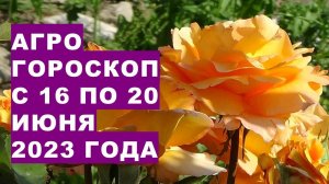 Агрогороскоп с 16 по 20 июня 2023 года. Агрогороскоп з 16 по 20 червня 2023 року