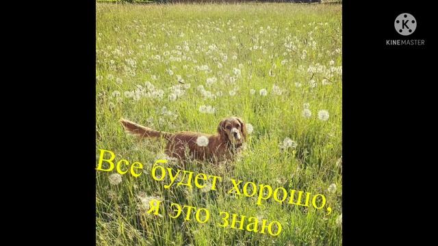 Мои пожелания с Добрым утром /// Будьте счастливы и любимы смотреть онлайн