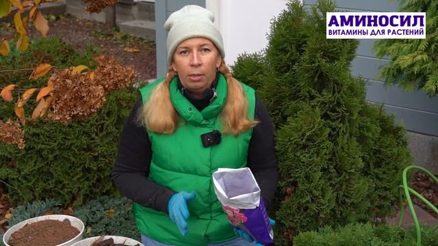 Подготовка роз к зиме. Обрезаем и готовим к укрытию. Как делает садовод-эксперт Марина Рыкалина.