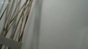 Рамка для фото из газетных трубочек  Очень просто и быстро  Подробный мк  Доступно для начинающих