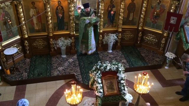 Освящение вербы в храме Александра Невского