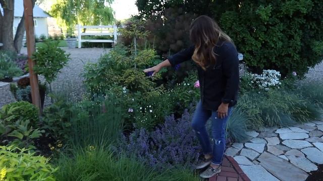 June Garden Tour! 🙌🌿💚// Garden Answer смотреть онлайн