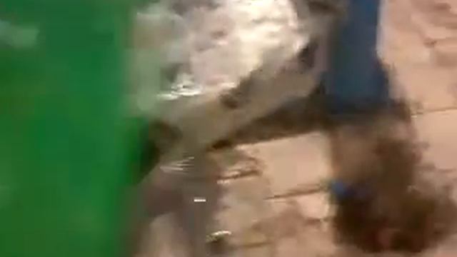 работа мотора на распредвалах ОКБ Двигатель 52/52 смотреть онлайн