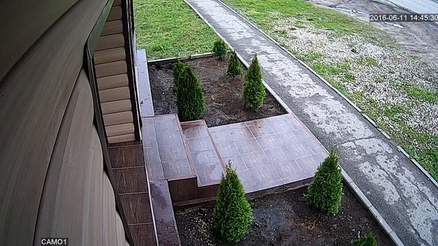 Мужчина украл Тую смотреть онлайн