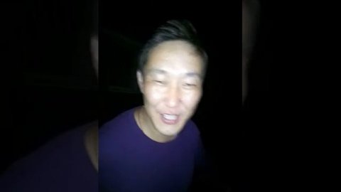 СЕМЕНТАЛ КОРОВА