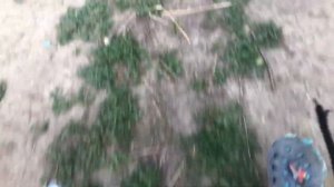 ГАЗ—53. Ассенизатор (как я сидел а кабине)