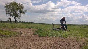 Таскаю самодельную борону по плантации картошки мотолебёдкой.