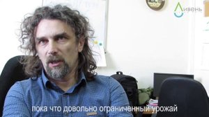 Алексей Волков о выращивании фисташки в Узбекистане