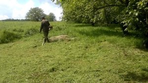 Бензотример. Мотокоса. в работе. леска 3мм.