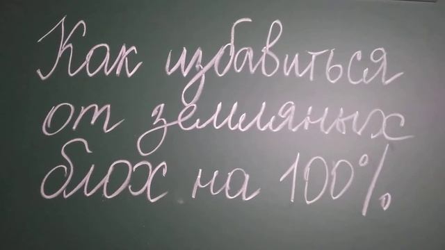 Как избавиться от земляных блох на 100 процентов. 27 июля 2021 г. смотреть онлайн