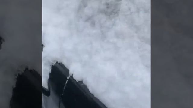 Запчасти б/у на Ford Focus 2 универсал бензин Авто Профи Авторазборка Автозапчасти Мурманск смотреть онлайн