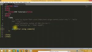How to use comment in php