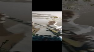 Дождь в ноябре.