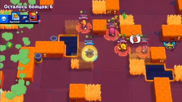 ПЕРВЫМ В МИРЕ АПНУЛ СПРАУТА НА 35 РАНГ В ОБЫЧНОМ СОЛО ШД😱 #35ранг #шд #мировойрекорд смотреть онлайн