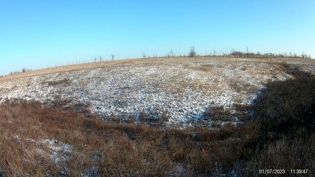 Самая быстрая  охота на зайца ! смотреть онлайн
