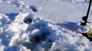 Искусственный мотыль.