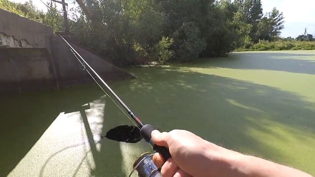 Ловля окуня на неогруженную резину смотреть онлайн