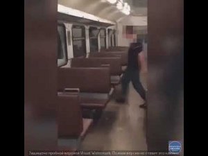 В полицию Воскресенска поступило заявление о разгроме вандалами четырех последних вагонов электрички