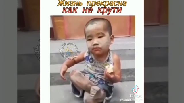 Жизнь