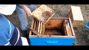 Подготовка пчел к зиме. Лежак. I часть.