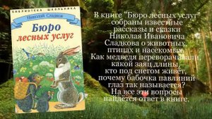 Здравствуй лес, дремучий лес! Полон сказок и чудес!