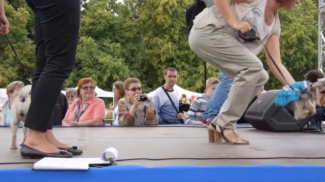 Семейный праздник домашних животных #MyPet, 28.06.2015, ВДНХ смотреть онлайн