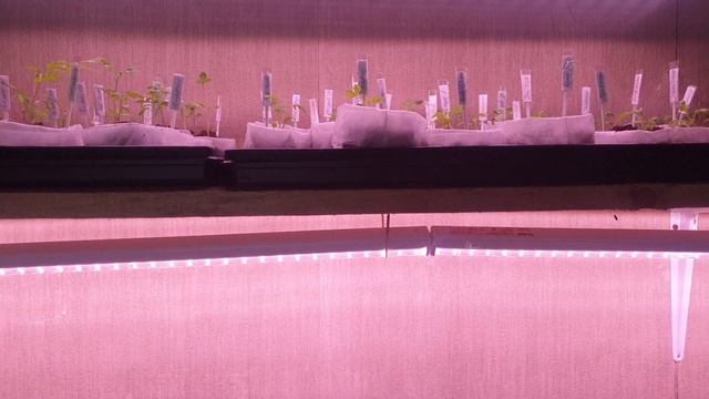 2 апреля 2023 г. смотреть онлайн