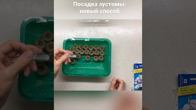 Посадка эустомы: новый способ