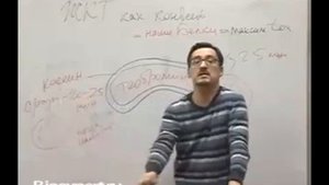 О вреде и пользе кофе для водителей