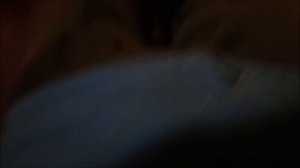 Тяжелые собачьи будни