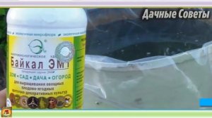 КАК ПРИГОТОВИТЬ качественный КОМПОСТ по всем правилам на дачном участке ПРОСТО и БЫСТР
