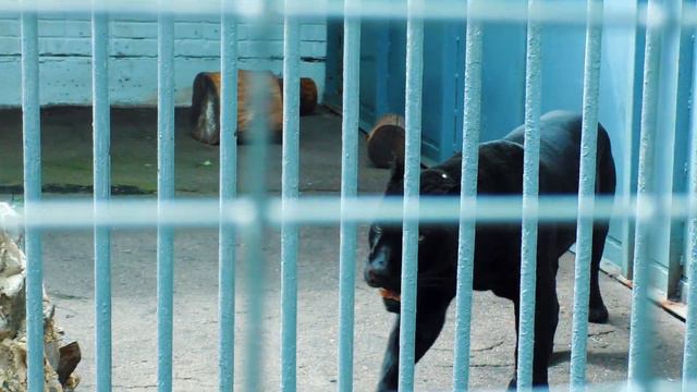 Отпуск 2019. День второй. Липецк смотреть онлайн