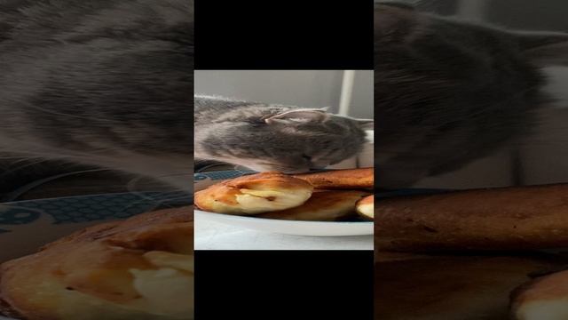 Пуша и пирожки