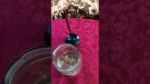 МОЩНЫЙ РАБОЧИЙ ОТВОРОТ ОТ ВСЕХ БАБ