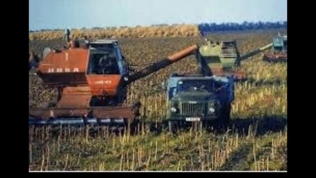 Скажи председатель!