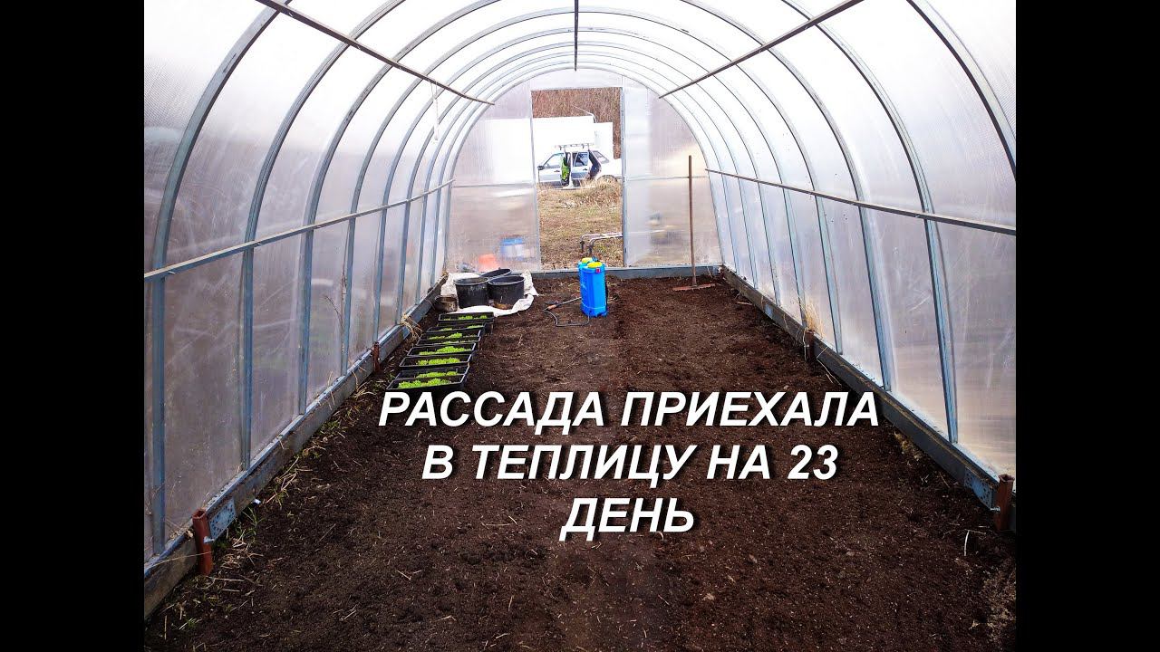 РАССАДА ПРИЕХАЛА В ТЕПЛИЦУ смотреть онлайн