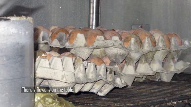 Podcast clip: A view inside Greenland's abandoned DYE-2 radar station смотреть онлайн