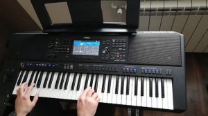 Bielyje Rozy (Белые розы) - COVER YAMAHA PSR SX700