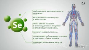 Цинк. Для чего нужен цинк организму?