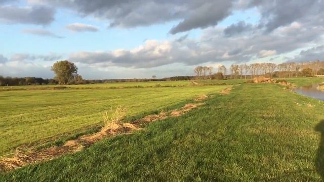 Hamburg, Pinneberg мысли о жизни у реки, идущий к природе смотреть онлайн