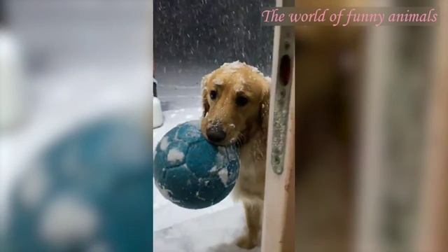  смотреть онлайн