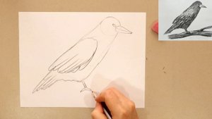 КАК НАРИСОВАТЬ ГРАЧА | УРОК РИСОВАНИЯ ?