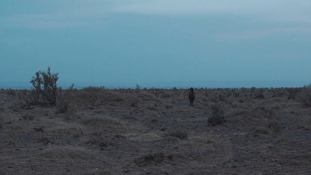 Oyun-Erdene - Ingen Temeenii Duu   (Official Music Video)
