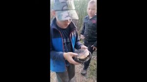 #fishing #рыбак #рыбалка #пуфики  РЫБАЛКА  НА ПУФИКИ С  ЧЕСНОКОМ ЛОВЛЮ КАРАСЯ