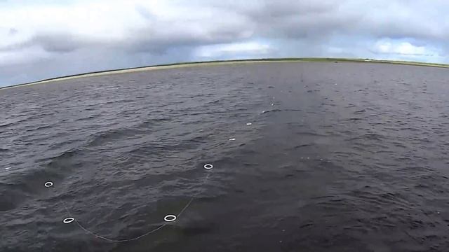 Рыбалка на семгу и сига сетями. Fishing for salmon. смотреть онлайн