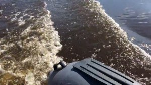 Лодка Патриот оптима 280 + Sea-Pro T3S