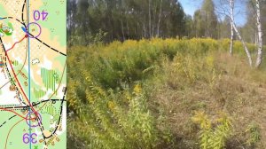 01 09 24, Кубок Клубов 2024, Красные ворота, М18, Ярослав, headcam orienteering, 1080