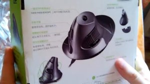 Посылка из Китая № 41. Вертикальная мышь Delux M618.