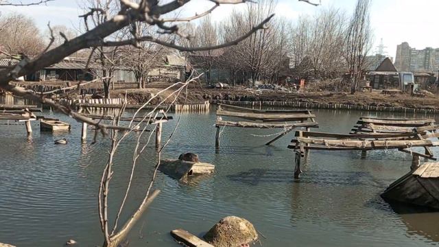 Мариупольский зоопарк. смотреть онлайн