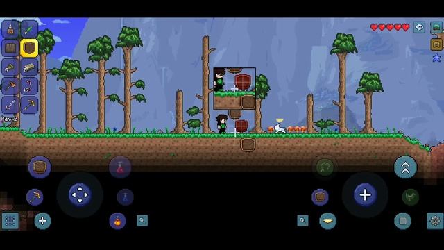 БАГИ ТЕРРАРИИ, КОТОРЫЕ ПОМНЯТ ОЛДЫ смотреть онлайн